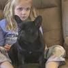 abbysmom336